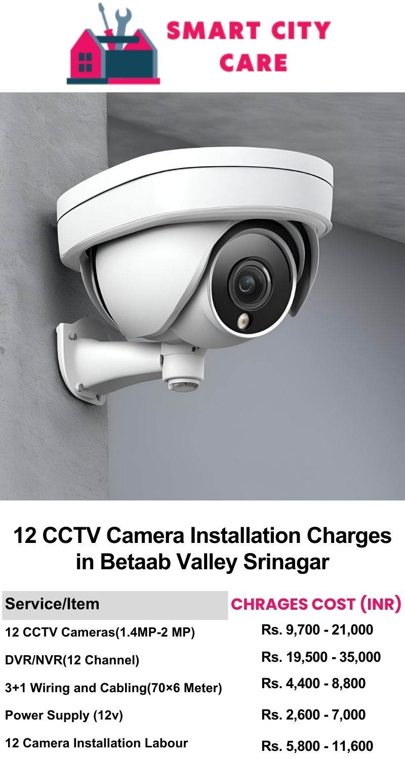 12 CCTV camera installation cost list in  Srinagar, Betaab Valley