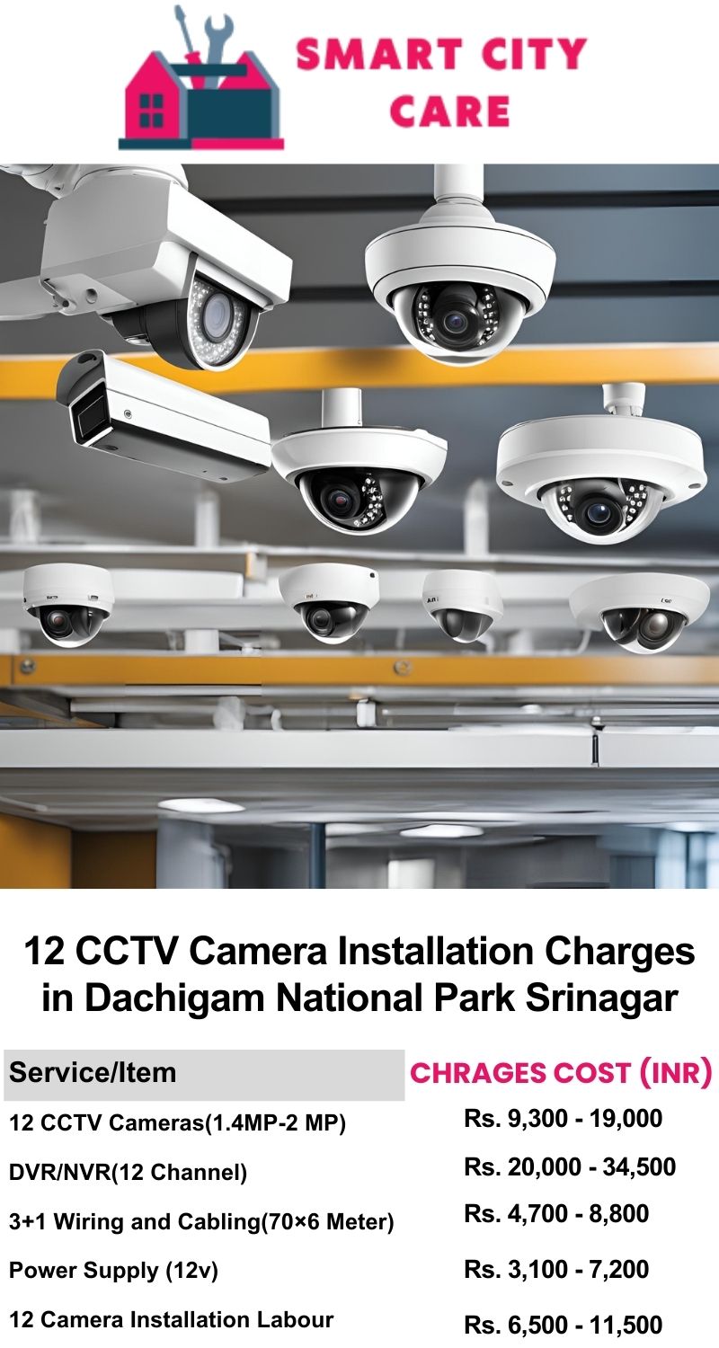 12 CCTV camera installation cost list in  Srinagar, Dachigam National Park