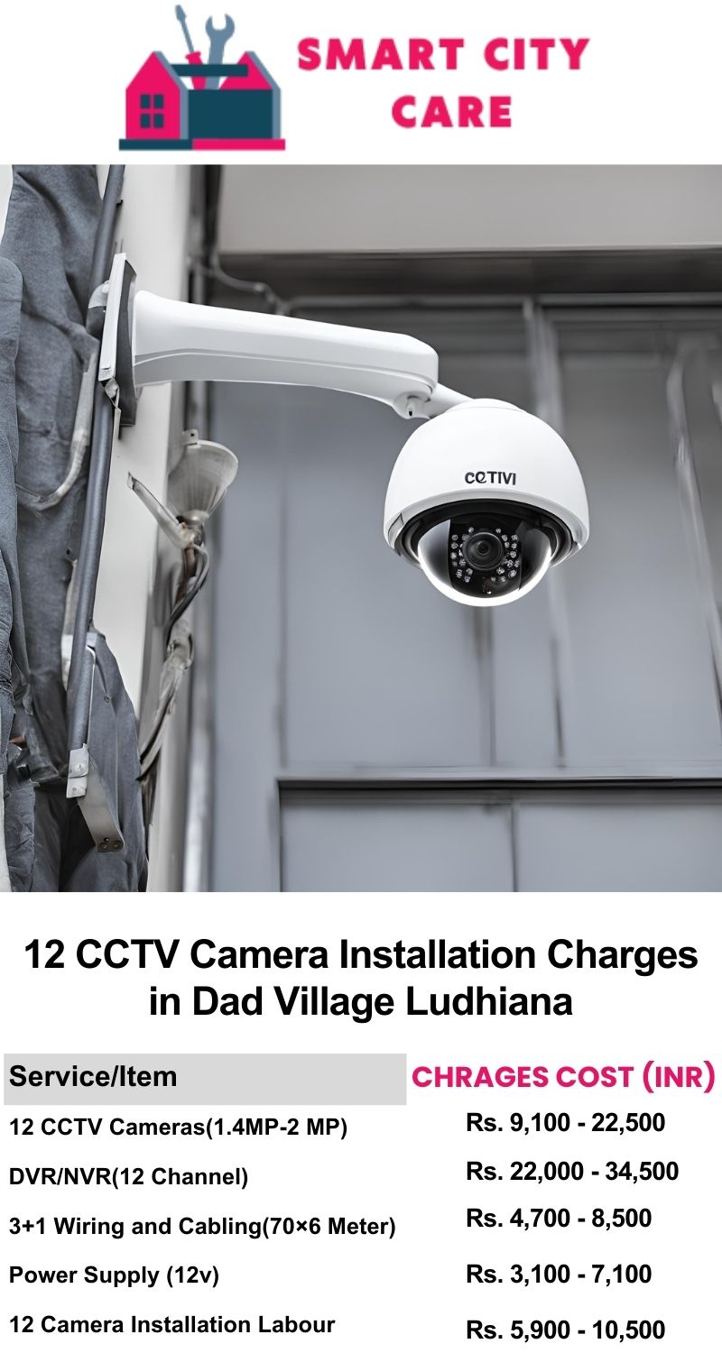 12 CCTV camera installation cost list in  Ludhiana, Dad Village