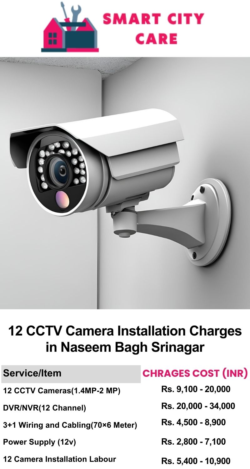 12 CCTV camera installation cost list in  Srinagar, Naseem Bagh