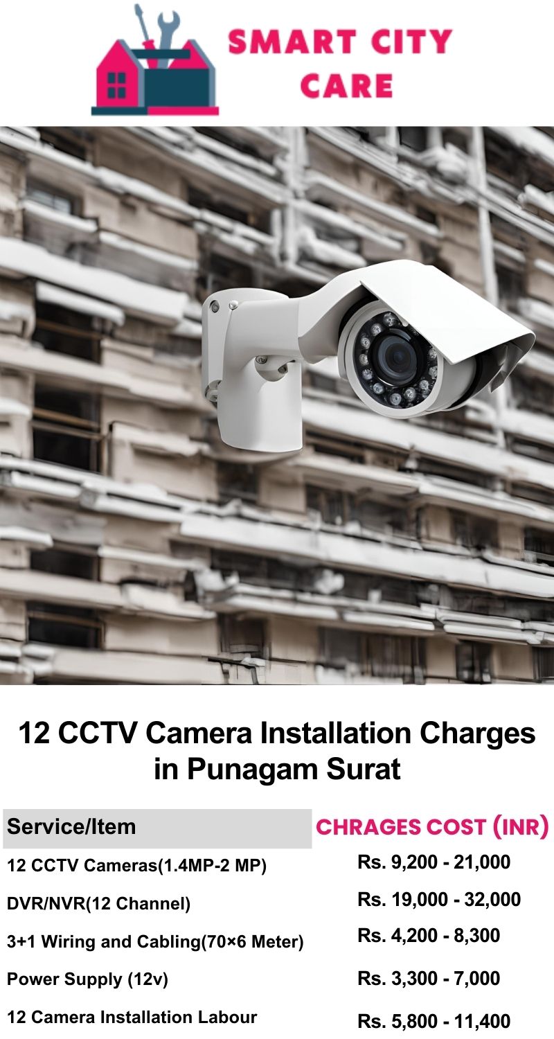 12 CCTV camera installation cost in Punagam