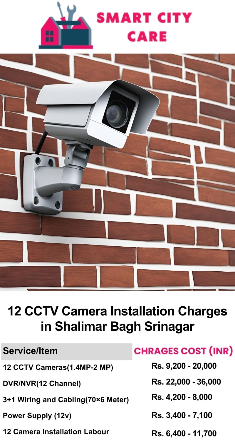 12 CCTV camera installation cost list in  Srinagar, Shalimar Bagh