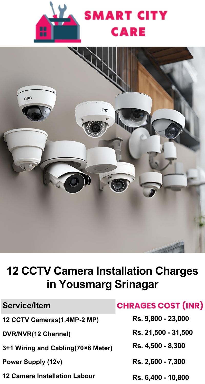 12 CCTV camera installation cost list in  Srinagar, Yousmarg