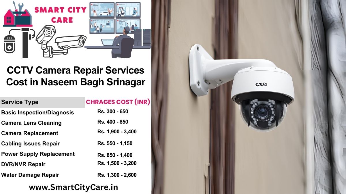 CCTV camera repair services charges list in Srinagar, Naseem Bagh