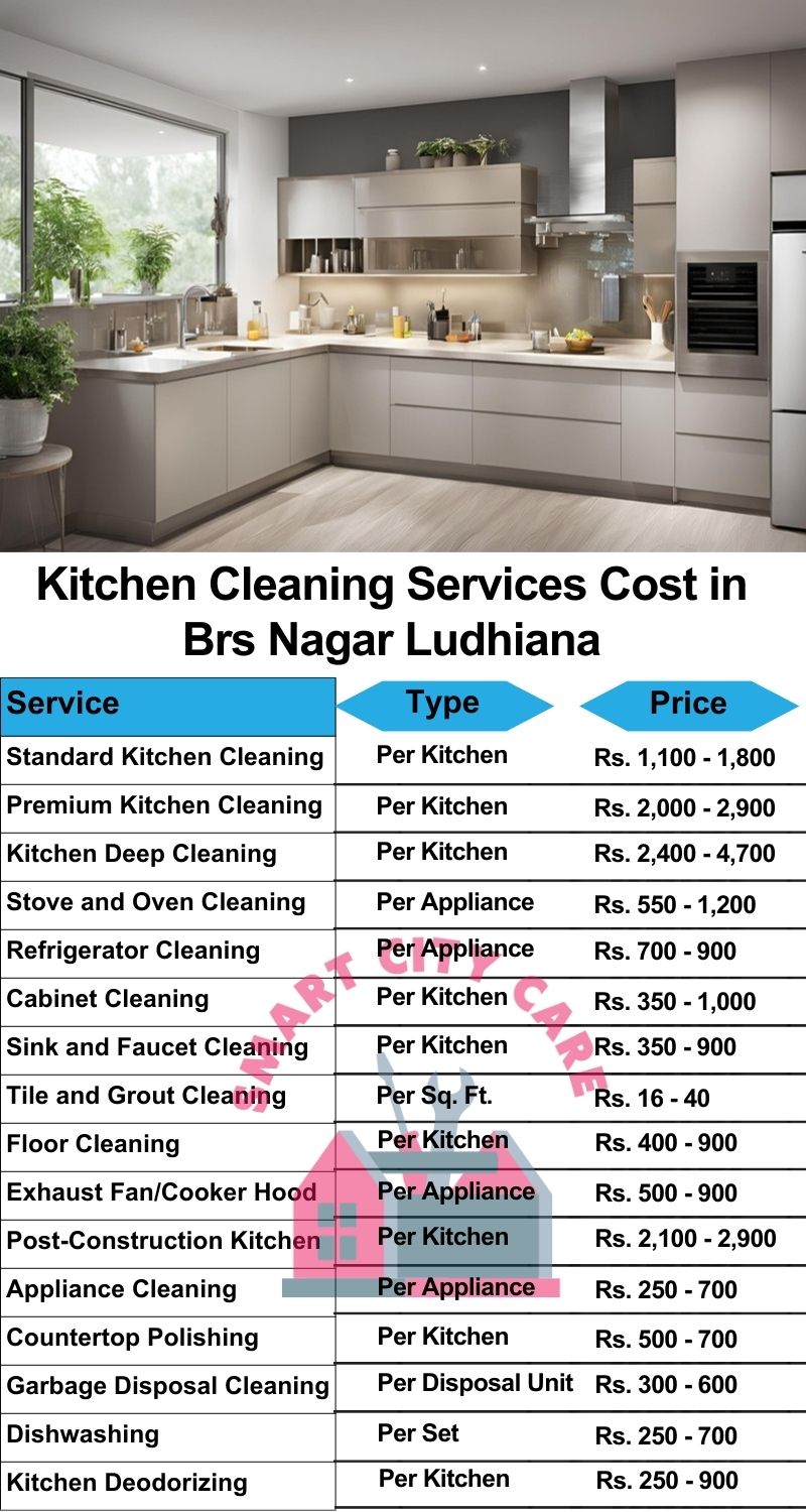 Kitchen cleaning services BRS Nagar, Ludhiana price list