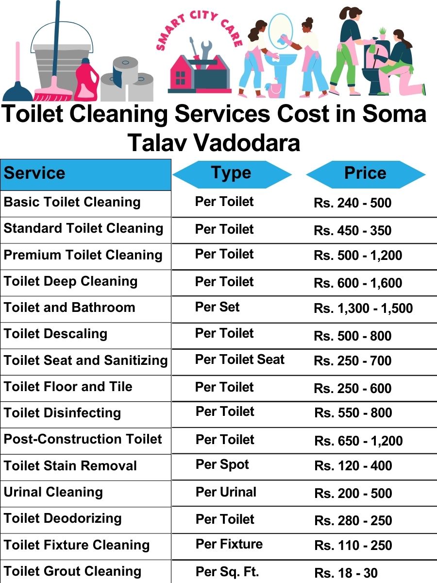 Toilet cleaning service cost in Soma Talav, Vadodara